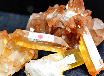 タンジェリン・ポイント