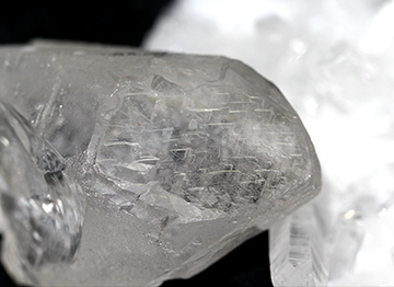 ドラゴーニック